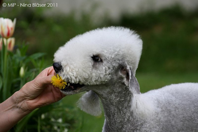 2011-04-23 Quincy etc (15).jpg